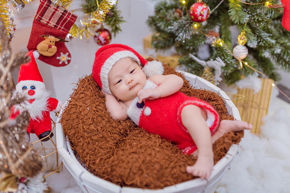 album ảnh newborn 15